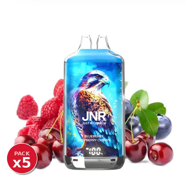 Pack x5 JNR Falcon Blueberry Raspberry Cherry