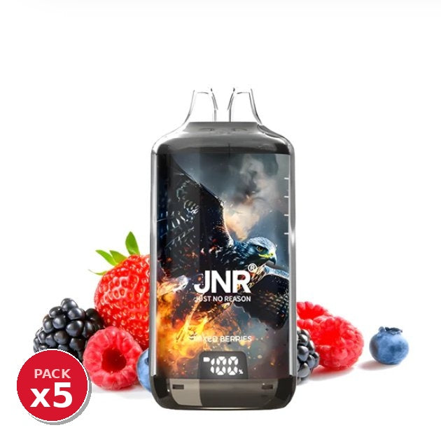 Pack x5 JNR Falcon Mixed Berries
