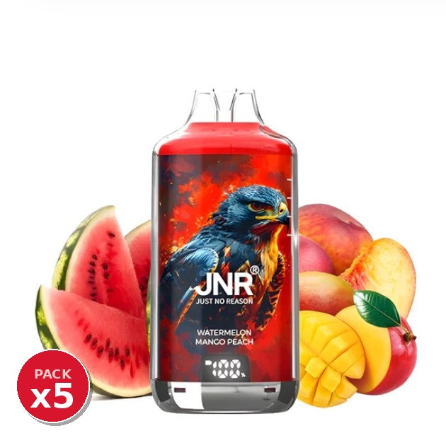 Pack x5 JNR Falcon Watermelon Mango Peach